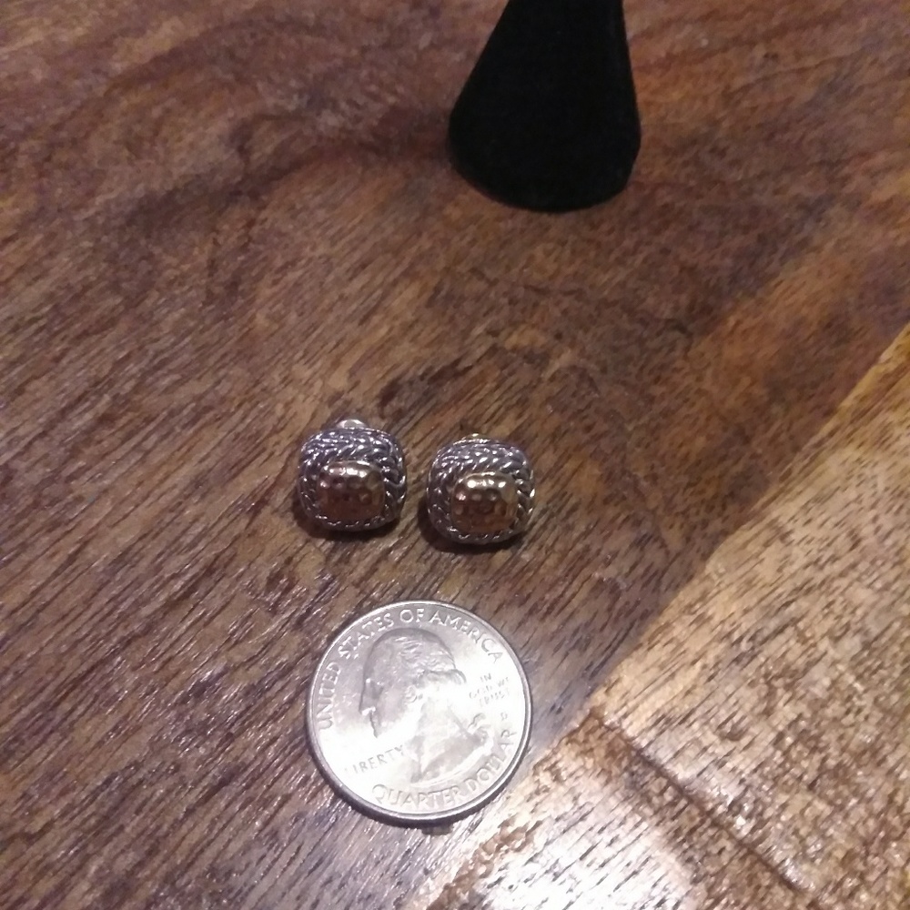 2 tone earrings